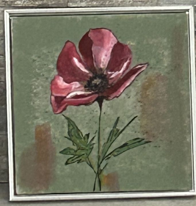 Red Poppy